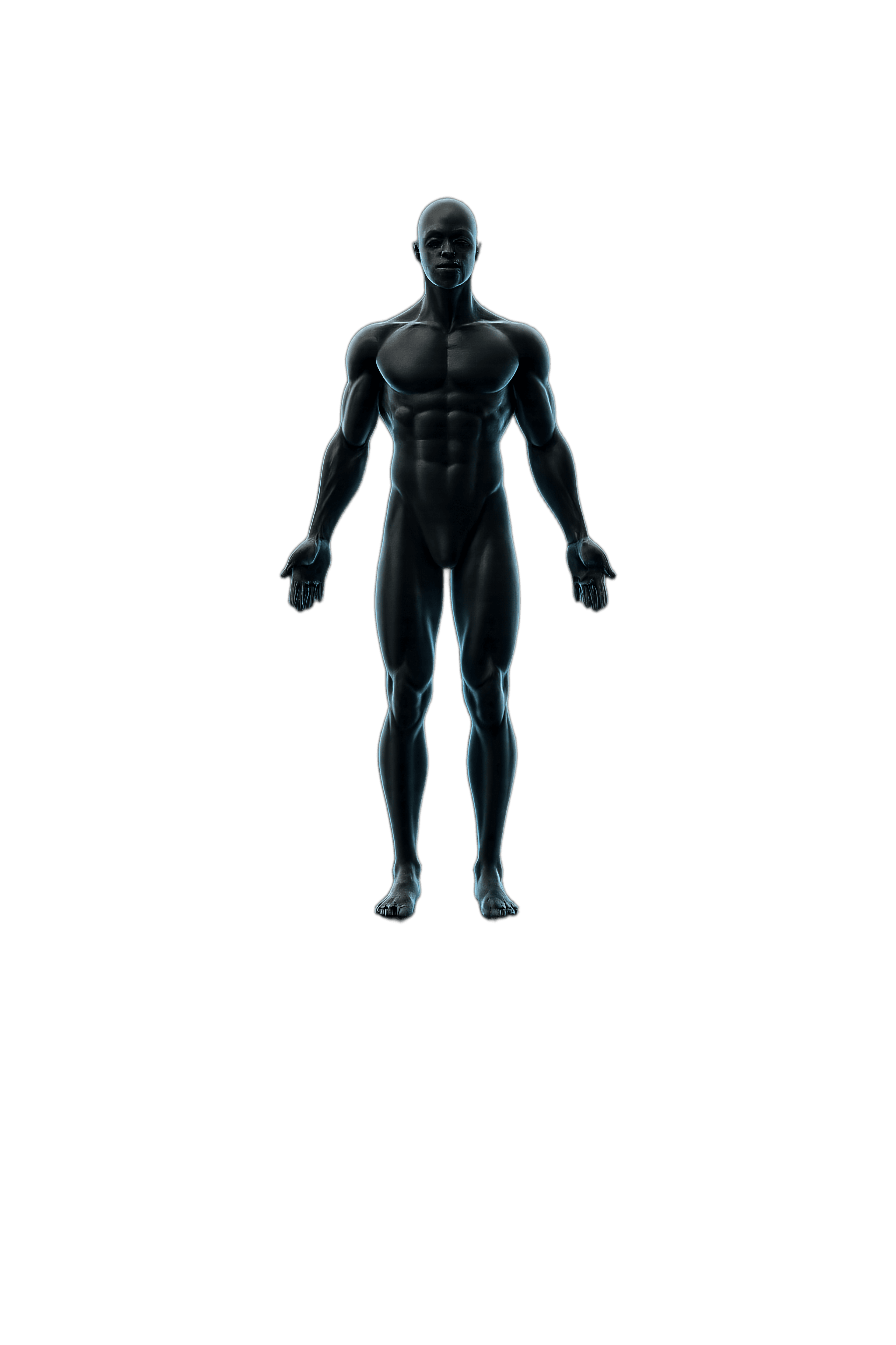 Body model placeholder